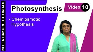 Photosynthesis  NEET  Chemiosmotic Hypothesis  Neela Bakore Tutorials [upl. by Wehtam]