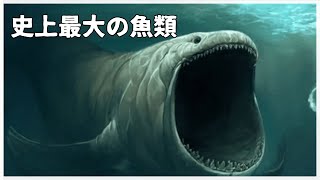 【ゆっくり解説】史上最大の硬骨魚類リードシクティス [upl. by Pasquale]