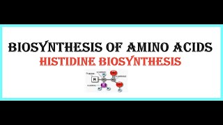 BIOSYNTHESIS OF AMINO ACIDSHistidine biosynthesis [upl. by Aelahs]