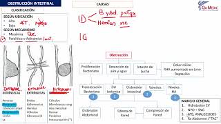 4 OBSTRUCCIóN INTESTINAL 1 [upl. by Kelsy]