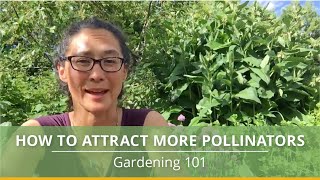 3 Easy Ways to Attract Pollinators to Your Garden [upl. by Darcia]