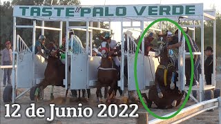 Carreras de Caballos en Puerto Peñasco Sonora 12 de Junio 2022 [upl. by Laeynad450]