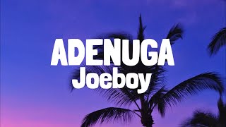 Joeboy amp Qing Madi  Adenuga Lyrics [upl. by Bahner]