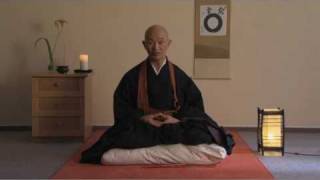 Zen  Posture  Introduction to zen practice part 21 Taigen Shodo Harada Roshi [upl. by Ronny252]