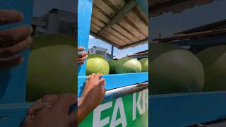 At a small market in Ghana buying groceries [upl. by Ecinnaj]