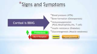 Cushings Syndrome [upl. by Ssepmet]
