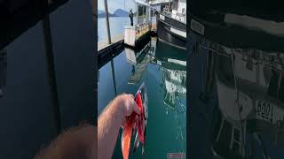 This is why you NEVER get in the water scary ocean alaskafishing [upl. by Hnid]