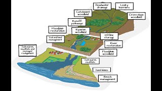 Grade 12 Geography Catchment Area amp River Management [upl. by Fransisco]