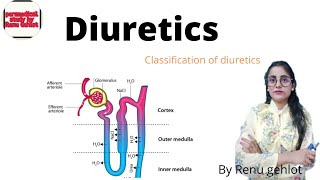 Pharmacology  diuretics amp classification of diuretics [upl. by Wier]