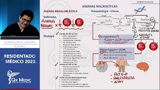 Hematología  3 Anemias Macrocíticas [upl. by Aihtela489]