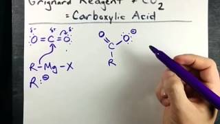 Grignard Reagent  CO2  Carboxylic Acid Mechanism [upl. by Enivid]