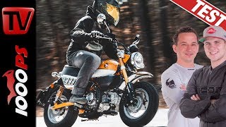 Honda Monkey 2019  Fahrspaß garantiert Das Funbike im Test [upl. by Ennairej303]