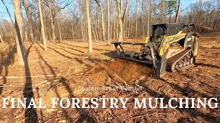 Final Forestry Mulching Day on this Job [upl. by Atsyrk689]