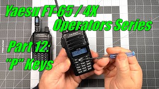 FT65  FT4X Operators Series Part 12  Programming amp using the quotPquot keys [upl. by Nnilsia]