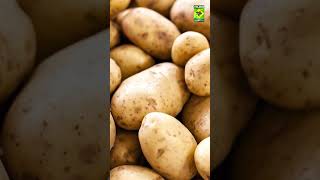 Benefits of Potatoes  food masalatvrecipe recipe masalarecipe alookaparatha [upl. by Berni]