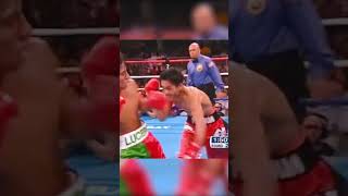 Manny Pacquiaos Path to Greatness Emmanuel Lucero Fight Historic Moments shorts mannypacquiao [upl. by Holbrook598]