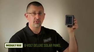 Moultrie 6Volt Deluxe Solar Panel [upl. by Saffier286]