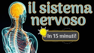 Il sistema nervoso in 15 minuti [upl. by Rob]