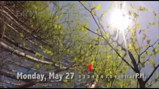 Greenup in Alaska — Three days of spring in timelapse [upl. by Annaeed]