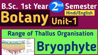 Range of Thallus OrganisationRange of thallus organisation in BryophytesBSc 1st Year 2nd Semester [upl. by Ymot]