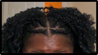 Fulani Braids With Curly Hair  type 4 natural hairstyle [upl. by Hares798]