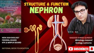 Nephron  Structure amp Function  biology  grade 12  Urdu Hindi English  Federal KPK Mirpur Board [upl. by Londoner]