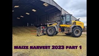 MAIZE HARVEST 2023 PART 1 [upl. by Anigger]