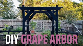 DIY Grape Arbor Archway thats ACTUALLY Easy and Inexpensive [upl. by Atalya]