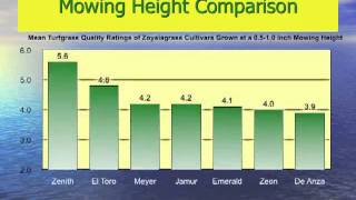 Zenith Zoysia Seed for Golf Course Fairway and Tee Renovation [upl. by Aisatan]