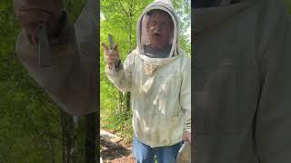 Brad the Beekeeper 13  The Almond Bloom  Migratory Beekeeping  Pollination Pollinators [upl. by Mazurek]