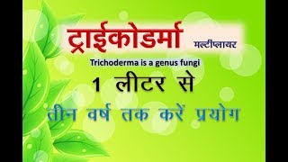 Trichoderma fungi liquid  ट्राइकोडर्मा तरल के 1 लीटर से तीन साल तक करे प्रयोग [upl. by Art909]