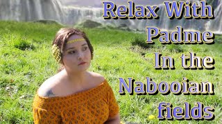 Relax With Padme In the Nabooian fields 🌼ASMR RP🌼Star Wars Week [upl. by Galatia192]