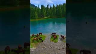 🇰🇬 Kırgızistan ❤️ kırgızistan kyrgyzstan doğa nature lovely [upl. by Pardner]