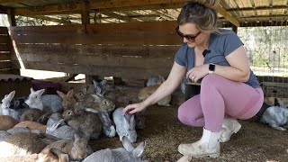 Zoe amp Liam Tour The Farm  Goats Turkeys Rabbits amp More [upl. by Eladnwahs293]