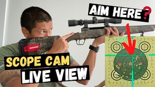 GAMO VARMINT 177 AIR RIFLESIGHTING IN THE SCOPE [upl. by Maddock]