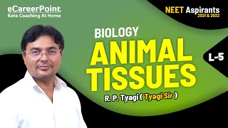 Animal Tissue L5  Biology  Class XI  NEET  Tyagi Sir  Career Point [upl. by Tonina]