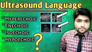 Decoding Ultrasound Language  Understanding Hyperechoic Hypoechoic Echogenicity Isoechoic and [upl. by Wilton]