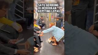 Kepiting Lepas Kacaukan Penumpang Kereta respect amazingfacts craft [upl. by Concettina639]