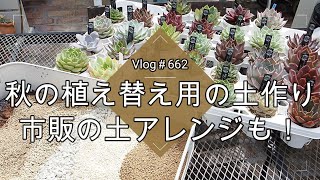 【Vlog662】【多肉植物】秋の植え替え用の土作り🎑市販の土アレンジも！【植え替えの仕方・葉挿し用の葉の取り方】 [upl. by Adeys]