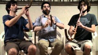 Crumhorn trio plays Susato  Allemande Crumhorn Renaissance [upl. by Hardden323]