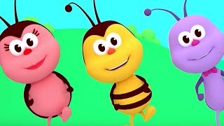 The Hokey Pokey Dance  Songs For Kids amp Nursery Rhymes  Boogie Bugs [upl. by Sajovich982]