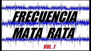 SONIDO para 🔴ESPANTAR RATONES🔴 [upl. by Tedi]