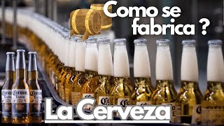 DESCUBRE LA INCREÍBLE FABRICACIÓN DE LA CERVEZA [upl. by Hajan]