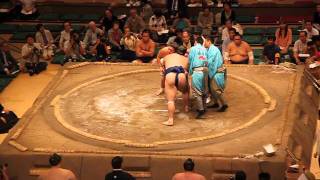 Bloody sumo match [upl. by Conlen]