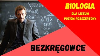 Bezkręgowce Biologia rozszerzona do matury [upl. by Bolme238]