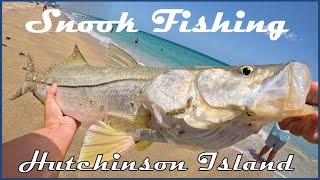 Snook Fishing on Hutchinson Island in Jensen Beach FL 4k [upl. by Nnyl]