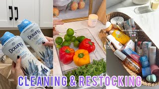 1 Hour ⏳ Satisfying Restocking 🍇 Organizing 🥞 Cleaning 🧽 Compilation ✨ [upl. by Oiragelo866]