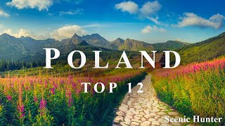 12 Best Places To Visit In Poland  Poland Travel Guide [upl. by Xer]