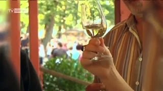 Weinfest Breisach beginnt [upl. by Aicinat]