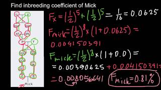 How to Find Inbreeding Coefficient practice problem [upl. by Aivatco]